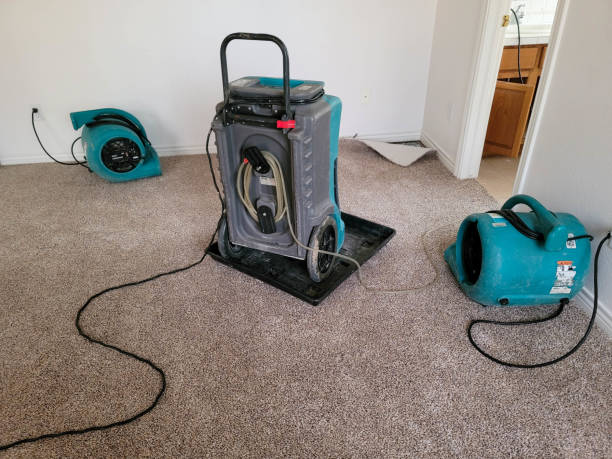 Best Emergency water damage restoration  in Broad Creek, NC