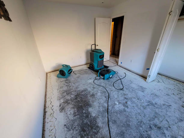 Best Water damage contractors near me  in Broad Creek, NC
