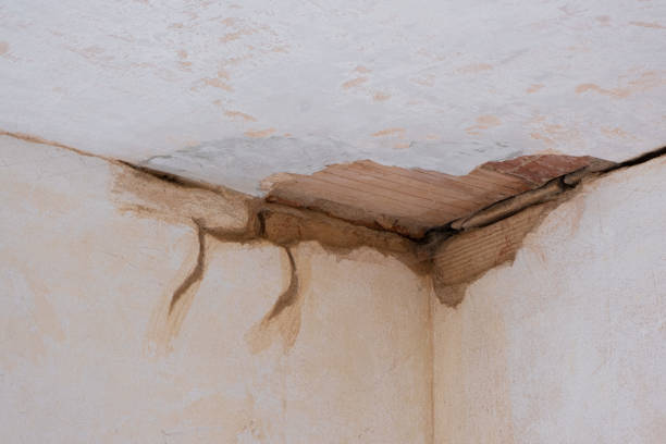 Best Water damage restoration near me  in Broad Creek, NC