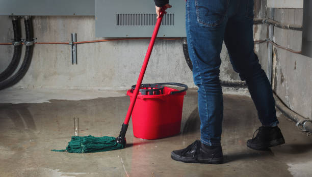 Best 24/7 water damage repair  in Broad Creek, NC