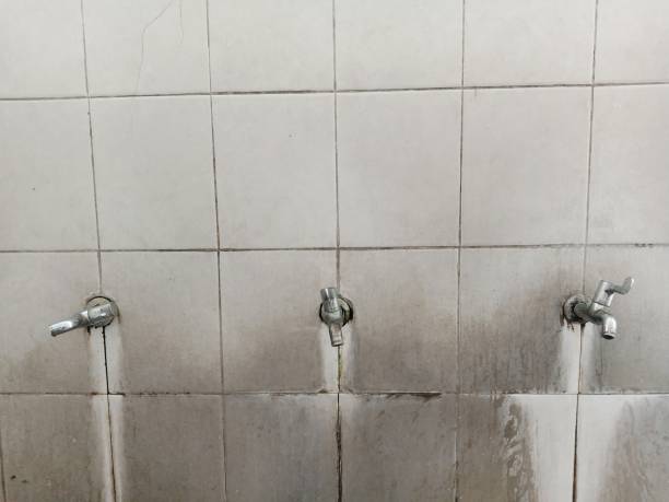 Best Fire Damage Restoration  in Broad Creek, NC