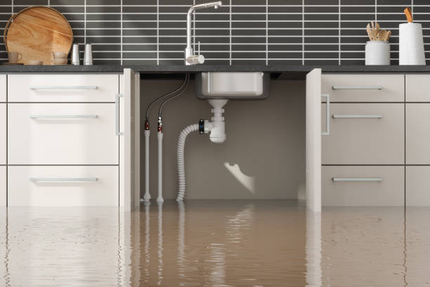 Reliable Broad Creek, NC Water damage restoration Solutions