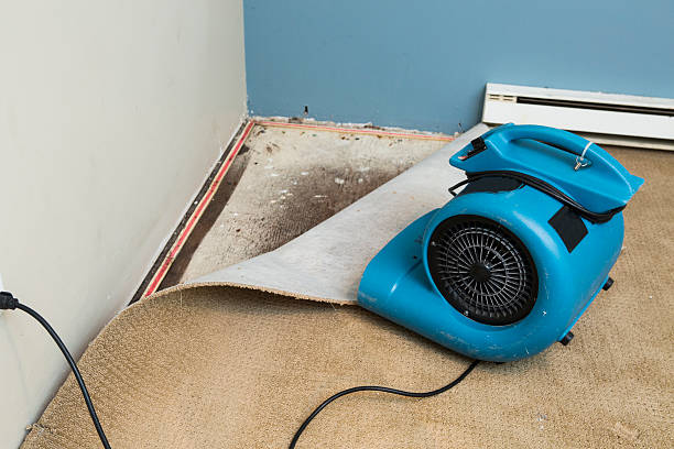 Water damage restoration experts in Broad Creek, NC